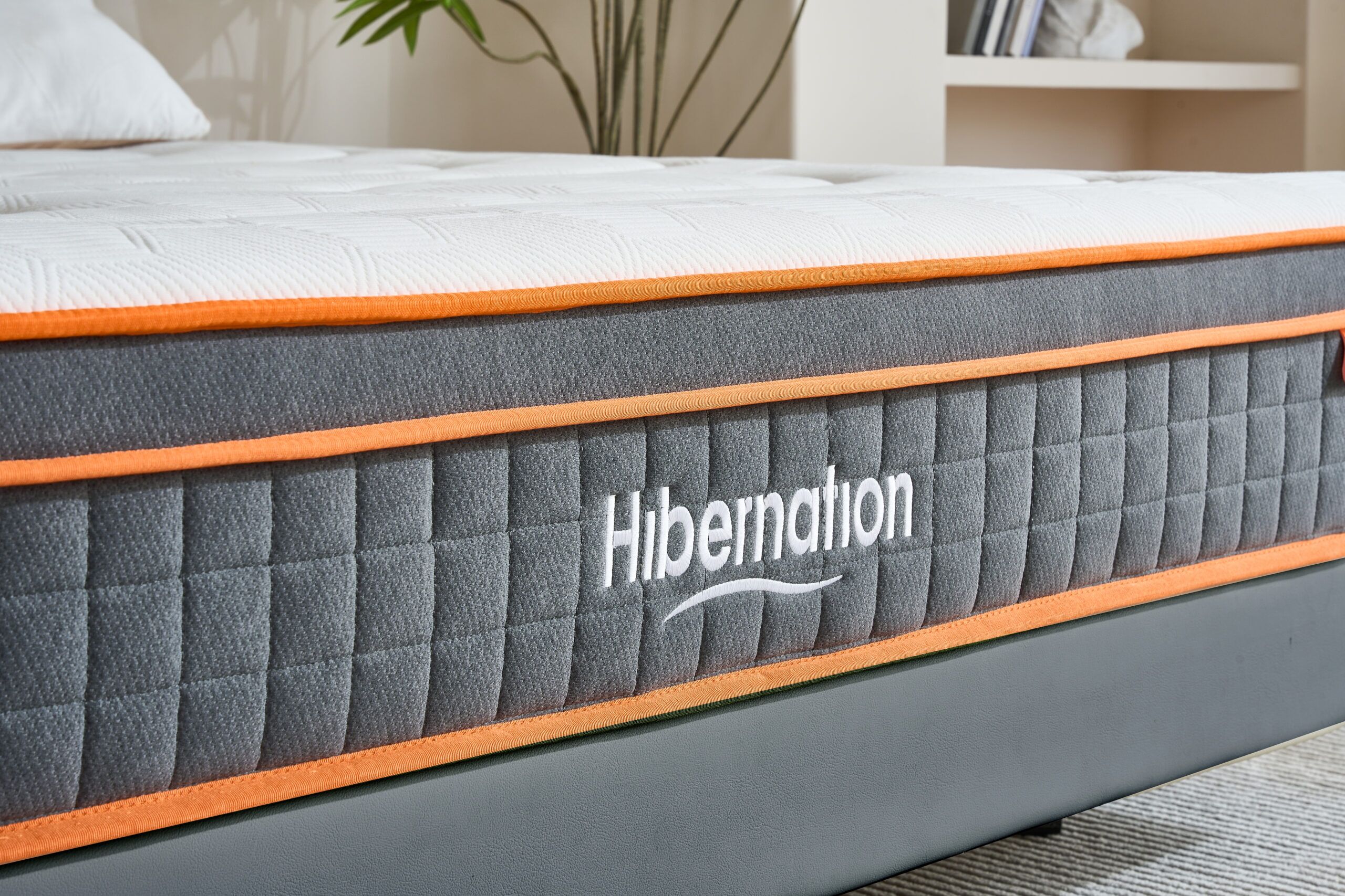Hibernation Crest
